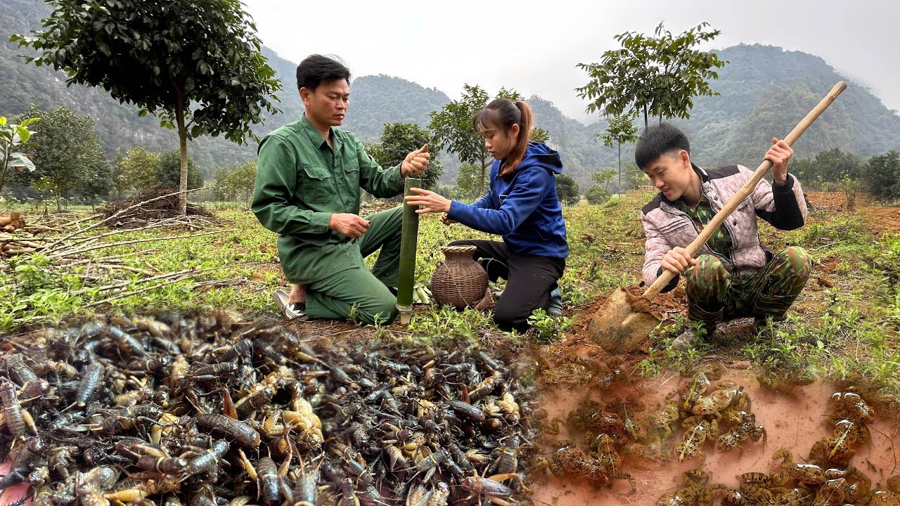 ĐÀO HANG BẮT DẾ - TÌM KIẾM MÓN ĂN ĐẶC SẢN MIỀN NÚI - Bùi Văn Trọng