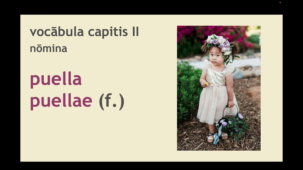 lectūra secunda: 1st Declension Nouns; Adjectives; Conjunctions; Interjections (LTN 101)
