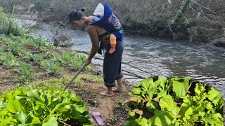 Download Lagu Single mother Ly Thi Hoa thanks her brother Nam and sister for giving her a vegetable garden. MP3