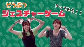 【保育】幼児向けの生き物クイズ!みんなでチャレンジしてみよう