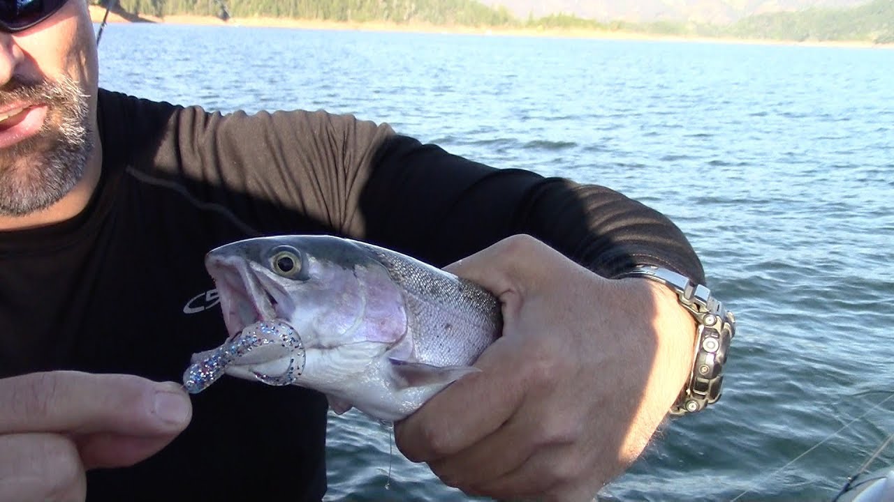 Trout Grubs Cal Kellogg's Grub Kits Back In Stock! YouTube