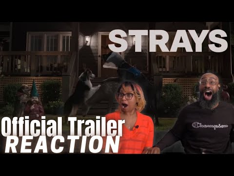 Strays Trailer | Reaction