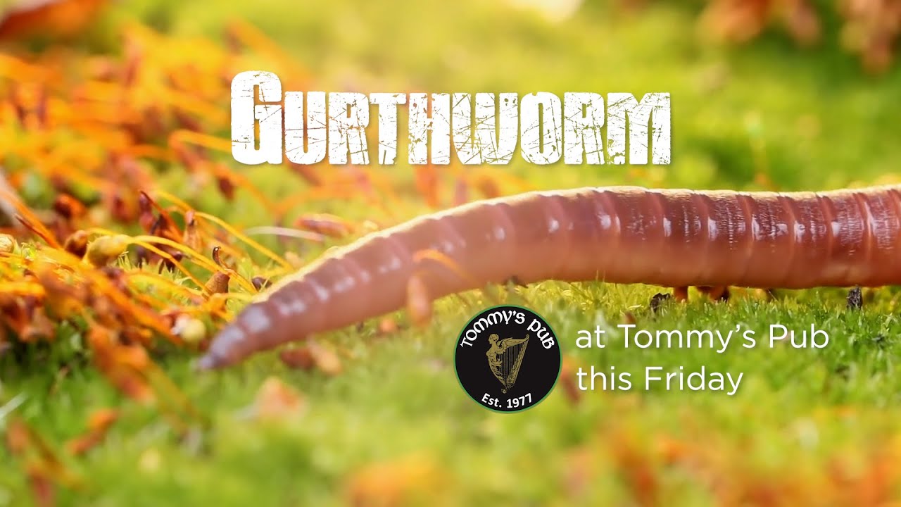 Gurthworm at Tommy's Pub on December 9th, 2022
