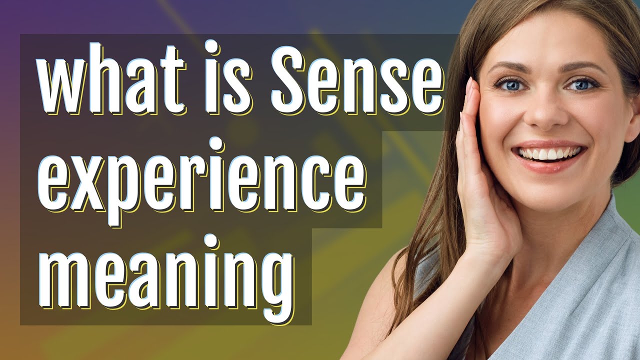 Sense experience | meaning of Sense experience
