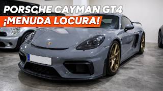 Porsche Cayman Gt4 Menuda Locura De Coche
