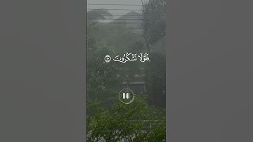 ماهر المعيقلي - سورة الواقعة - تلاوة خاشعة - افرءيتم الماء الذي تشربون