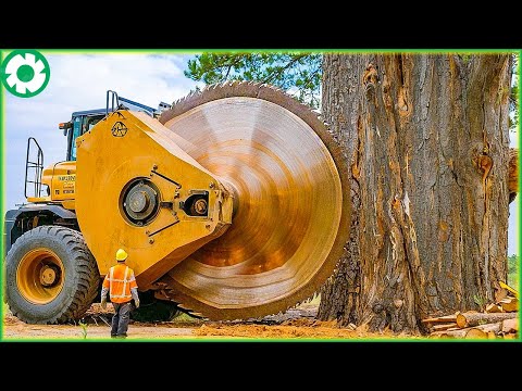 Most Big Chainsaw Cutting Tree Machines | Agriculture Technology