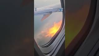 Video shows flames shooting from engine of American Airlines flight following bird strike