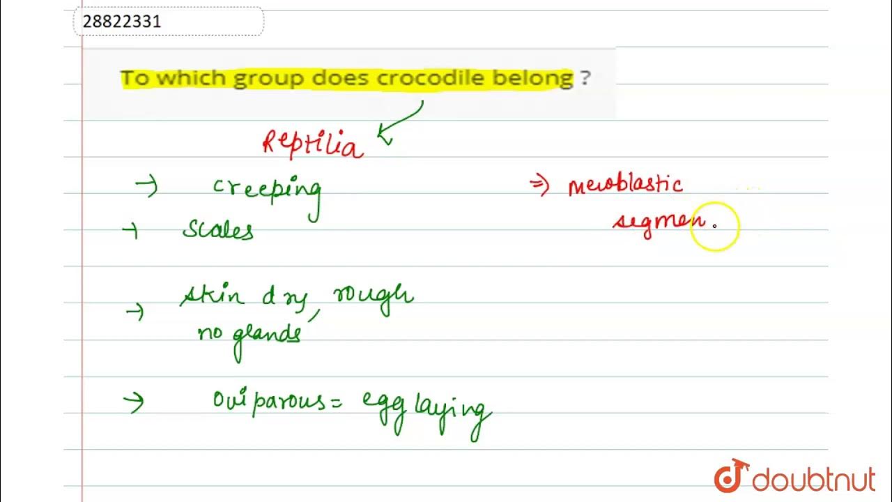 To which group does crocodile belong ? - YouTube