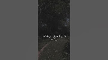 تلاوة هادئة تريح القلب🖤🍃| سورة طه بصوت محمد جميل حالات واتساب دينية مقاطع دينية مقاطع انستقرام دينية