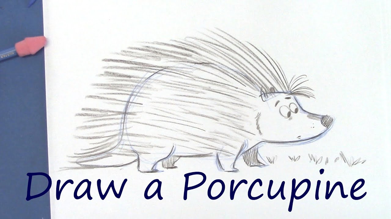 Draw a Cute Porcupine - Cartoon Animals for Beginners - YouTube