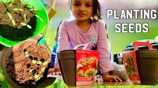 Planting Seeds | Getting ready for spring| Strawberry plant ? ? | Toddler gardening
