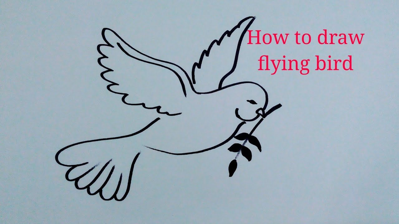 How to bird. How to draw a Bird Step by Step. How to draw a Bird easily. Birds singing drawing easy. Flying Bird drawing.