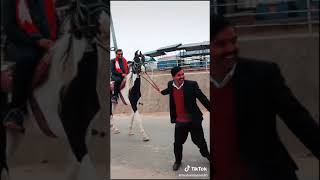 कृष्ण कंडेल घोडा डोर्‍याउदै | Krishna Kandel Viral Video #Shorts