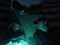 Rakim- the Saga Begins{TwoDudes Reaction!!}