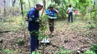 Queensland Scientists Discover 70 Aboriginal Graves On Fraser Island