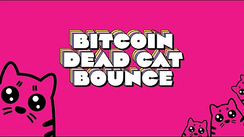 Bitcoin Dead Cat Bounce?