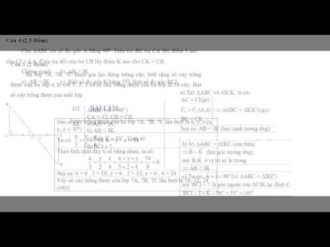 Kiểm Tra học kì 1 Môn toán Lớp 7 có đáp án