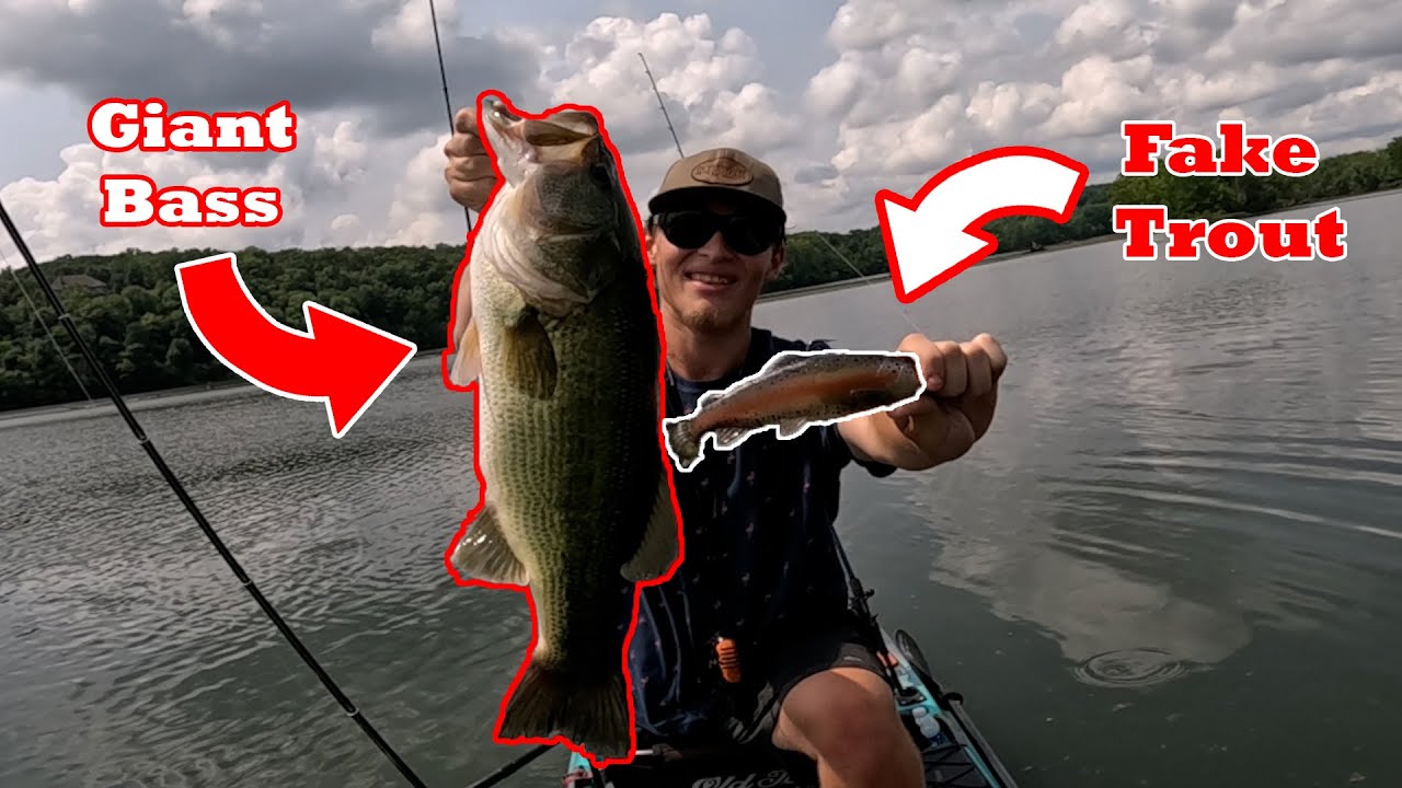 This is How to Catch GIANT BASS!! (Trophy Hunting in Missouri)