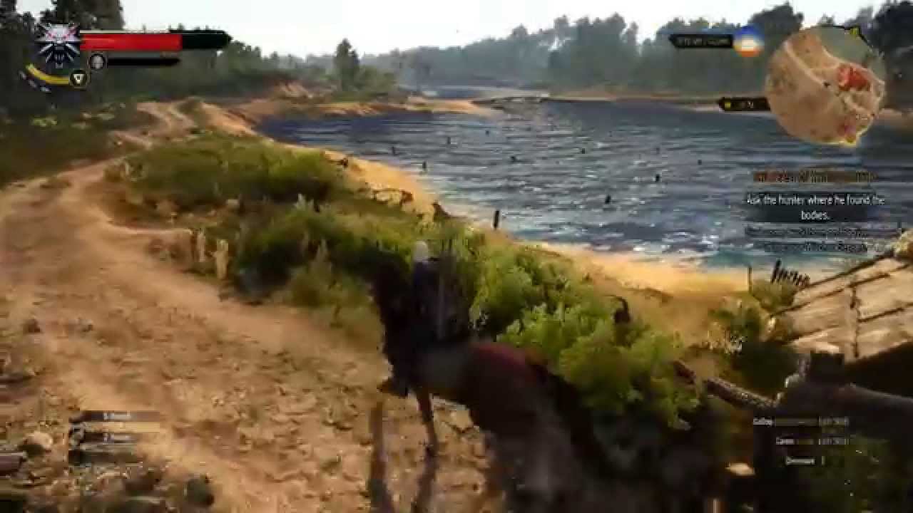 The Witcher 3 Wild Hunt PC 60FPS Gameplay | 1080p
