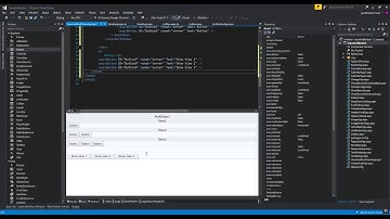 ASP.NET (VB) view and multiview