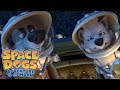 SPACE DOGS ADVENTURE TO THE MOON Official Trailer In Theatres Now