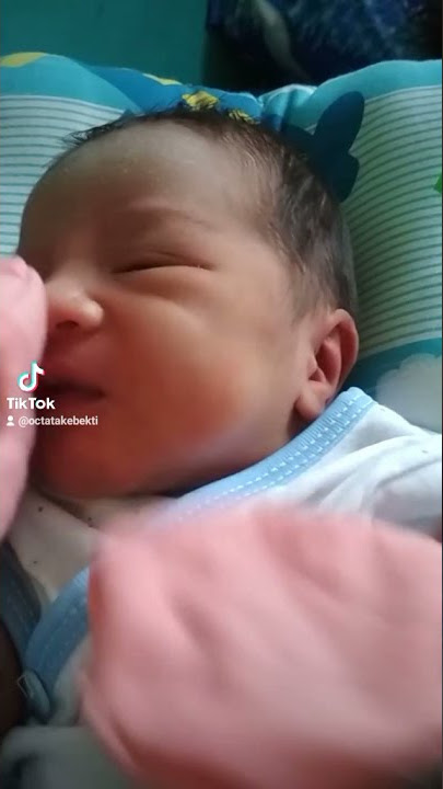 lahir aviwkila tiktok