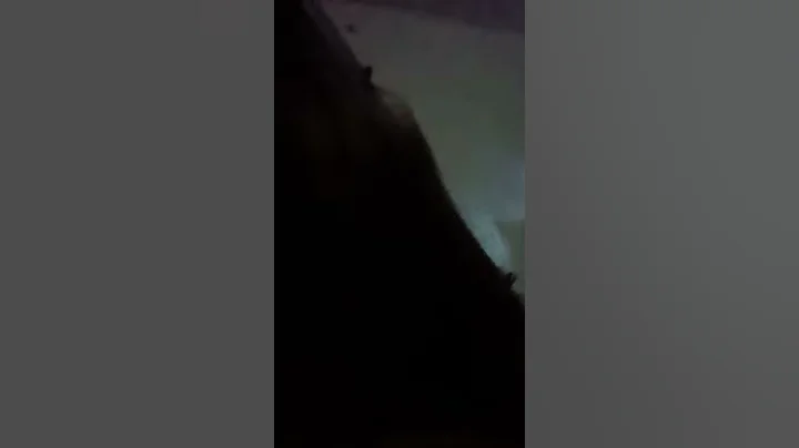 mi primer video