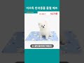 이츠독 반려동물 쿨젤 매트