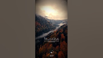 ويومئذ يفرح المؤمنون بنصر الله - سورة الروم الآية 4- الشيخ ياسر الدوسري #قران_كريم حالات واتس اب