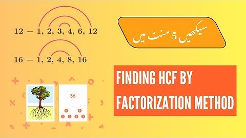 HCF by Prime Factorization Method | Mathematics Grade 5 | The Broadway Academy