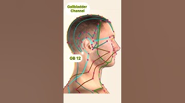 The Gallbladder Channel Acupuncture Points #acupuncture