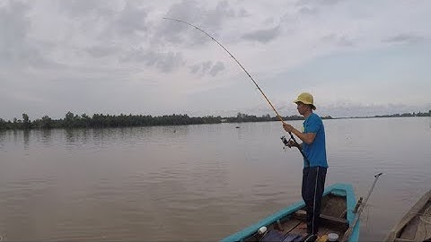 ĐI CÂU CÁ NGÁT VỀ NẤU CANH CHUA