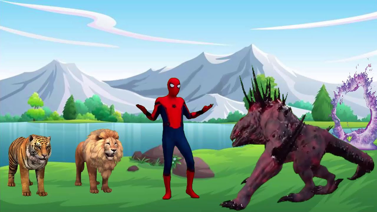 حكاية سمبا و سكار والنمر والخريطة و سبايدر مان