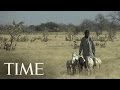 Africa's Ambitious "Great Green Wall" | TIME