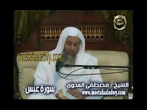 تفسير كلا إنها تذكرة فمن شاء ذكره في صحف مكرمة مرفوعة مطهرة بأيدي سفرة كرام بررة العدوي