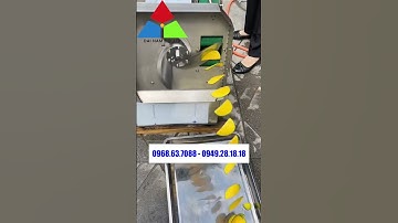 Dòng máy thái rau củ quả đa năng có băng tải tự động CYHD-20