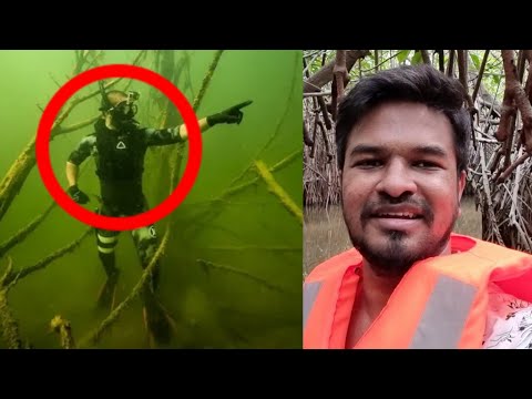 Video: Pichavaram Mangrove Forest Tamil Nadussa: miten vierailla