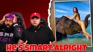 INTHECLUTCH REACTS TO: Moments of Animal Genius That Will Amaze You !