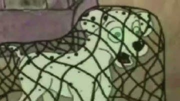 Caddicarus - what the actual hell is even going on right now?!?