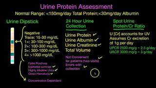 Proteinura #3: Assessment