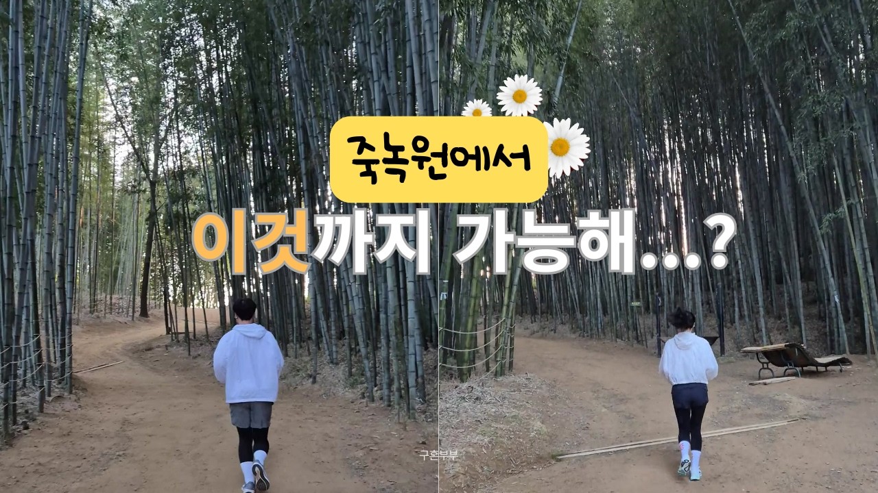 죽녹원 100배 즐기기