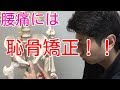 腰痛治したいなら恥骨矯正
