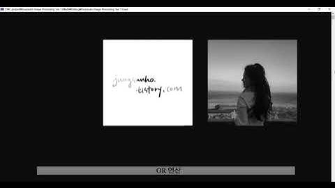 Grayscale Image Processing in C 시연영상
