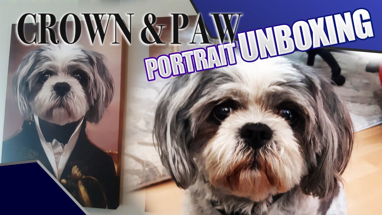 Crown & Paw Unboxing! Portraits for your pets YouTube
