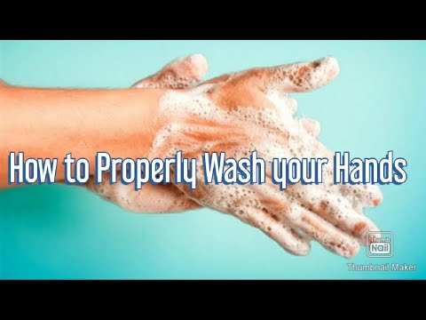 How To Properly Wash Your Hands