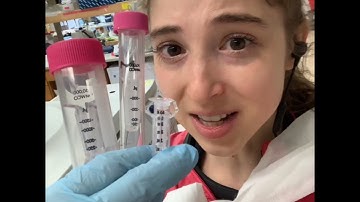 Centrifugal ultrafiltration - concentrating protein using spin concentrators (e.g. Amicon)