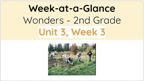 Unit 3, Week 3 - Wonders 2nd Grade - Week at a Glance