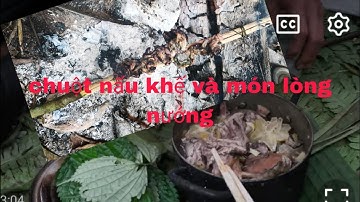Thưởng thức pịa chuột vào buổi sáng trong rừng cực ngon.