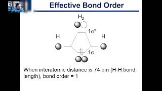 5.3. Bond Multiplicity